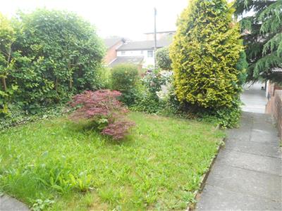 Picture 11